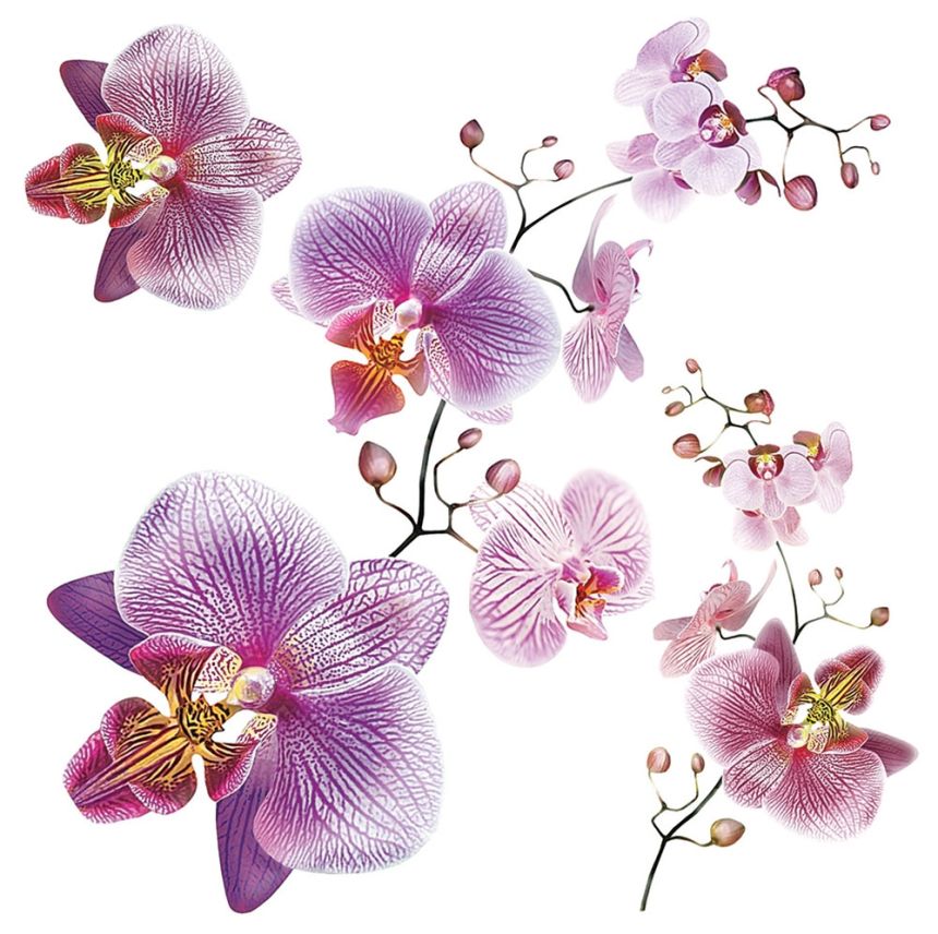 Matrica / öntapadó fali dekoráció SS 3859, Orchidea, AG Design