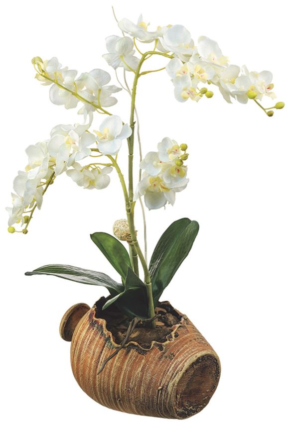 Matrica / öntapadó fali dekoráció SM 3430, Orchidea, AG Design