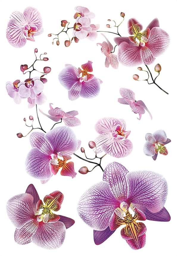 Matrica / öntapadó fali dekoráció SM 3440, Orchidea, AG Design