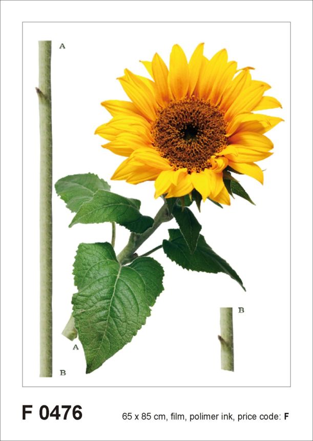 Matrica / öntapadó fali dekoráció F 0476, Napraforgó, AG Design