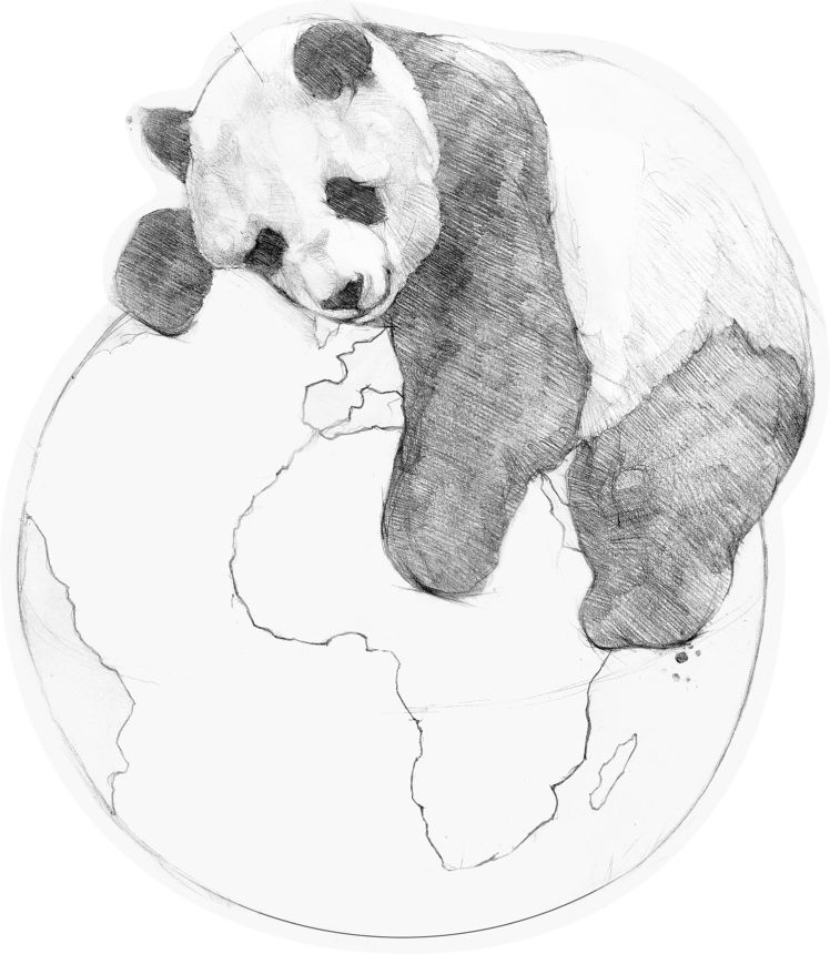 Előre ragasztott polár tapéta, Panda dekoráció, PLC049, Platinum Shapes, Decoprint