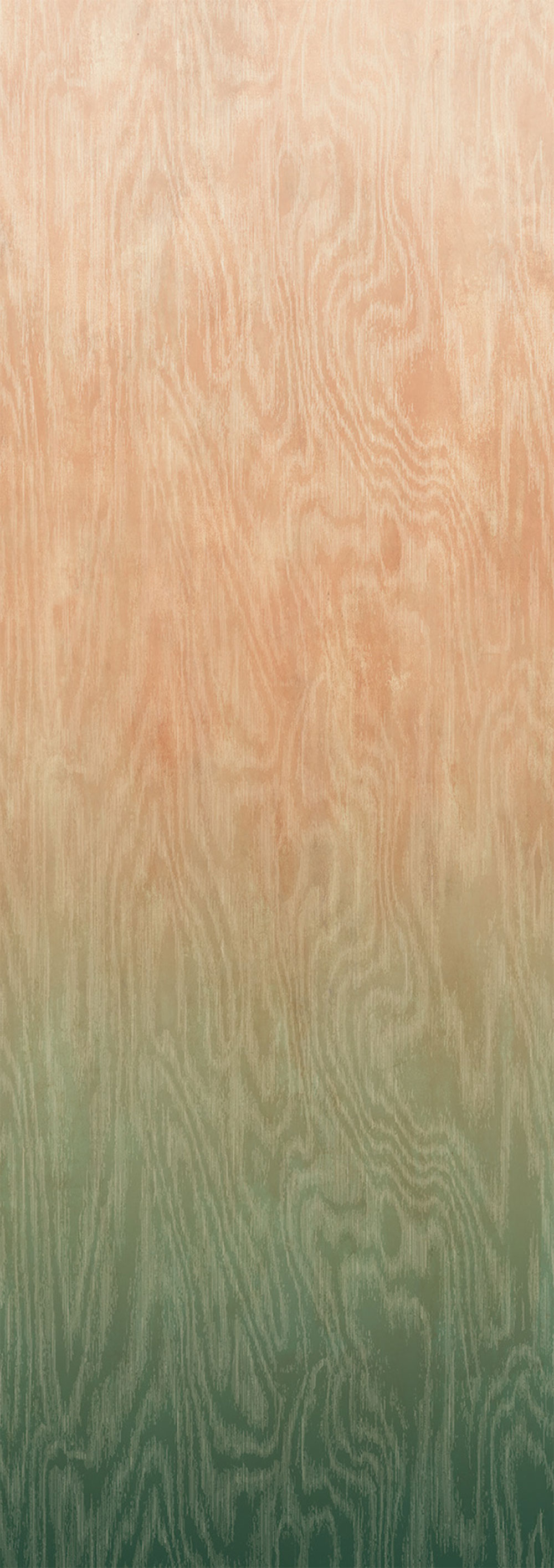 Vlies fotótapéta, Moiré, DG4MOI1082-300, Wall Designs IV, Khroma by Masureel