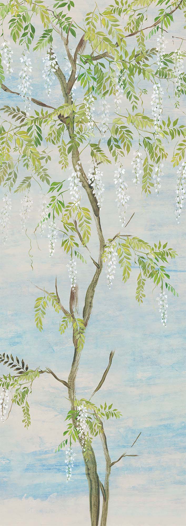 Vlies fotótapéta, virágok, fák, wisteria, DG4PAT1023-300, Wall Designs IV, Khroma by Masureel