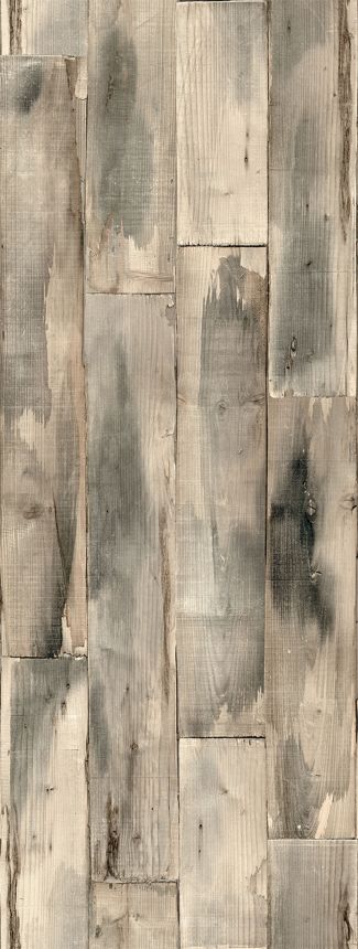 Vlies poszter tapéta, szürke-bézs, fa, FW4051-6, Feature Walls, Decoprint
