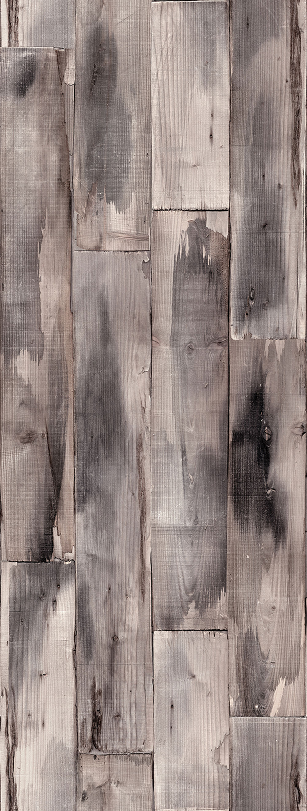 Vlies poszter tapéta, szürke, fa, FW4051-11, Feature Walls, Decoprint