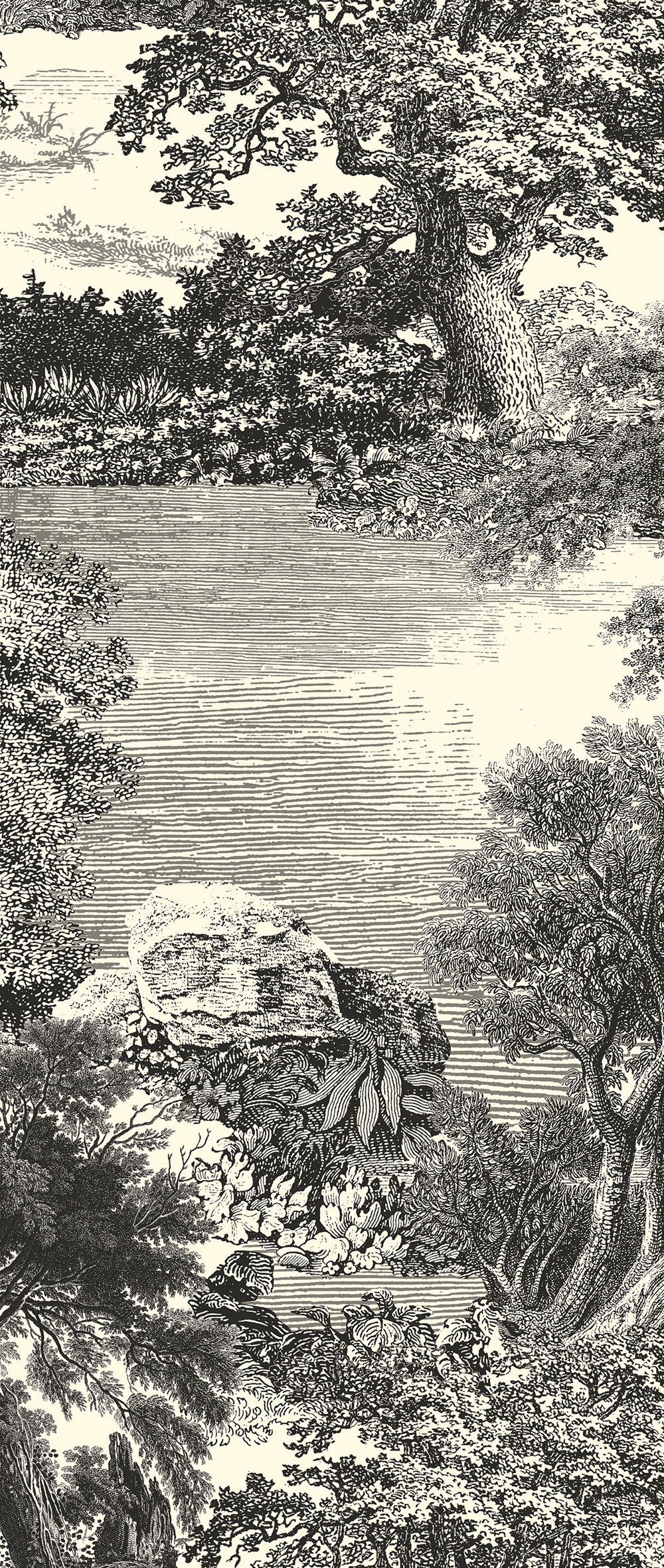 Posztertapéta, fekete, erdő, fák, DGSAL1011-260, Amazone, Masureel