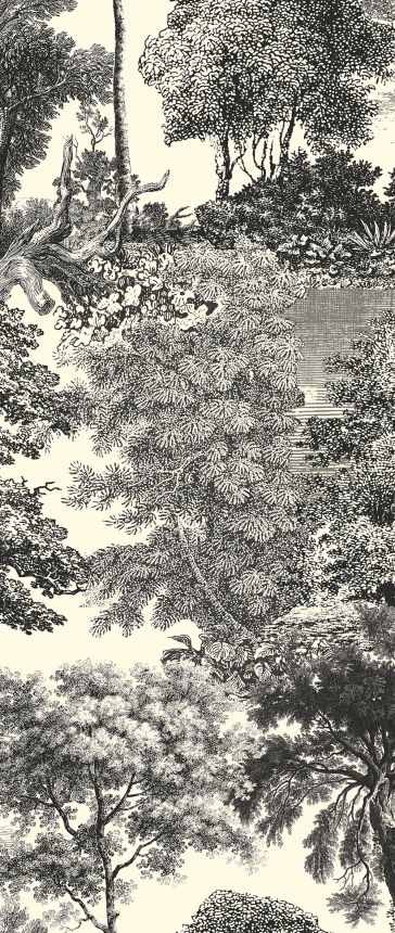 Posztertapéta, fekete, erdő, fák, DGSAL1012-260, Amazone, Masureel