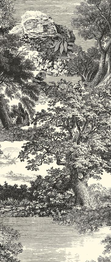Posztertapéta, fekete, erdő, fák, DGSAL1013-260, Amazone, Masureel