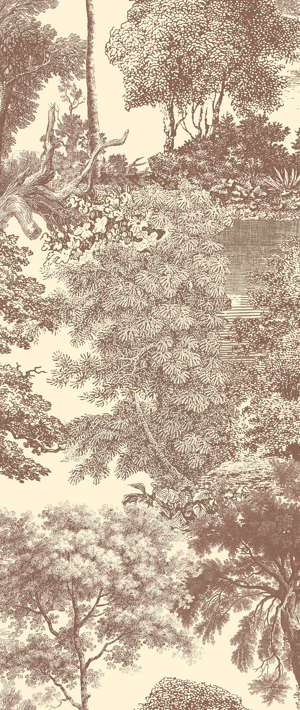 Posztertapéta, barna, erdő, fák, DGSAL1044-300, Amazone, Masureel