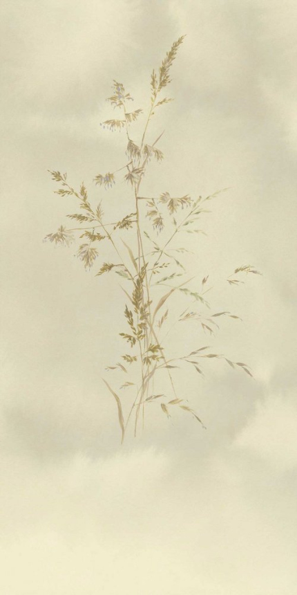 Vlies fotótapéta Fű, 300903, Aqua Twigs, 140 x 280 cm, Waterfront, Eijffinger