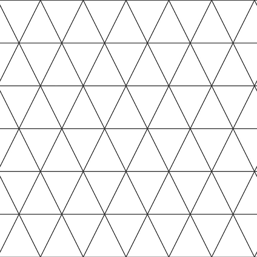 Fekete-fehér vlies tapéta háromszöggel 139148, Black & White, Esta