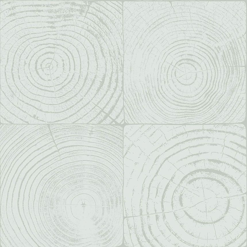 Világos türkiz fali tapéta, fautánzat évgyűrűkkel 347545, Matières - Wood, Origin