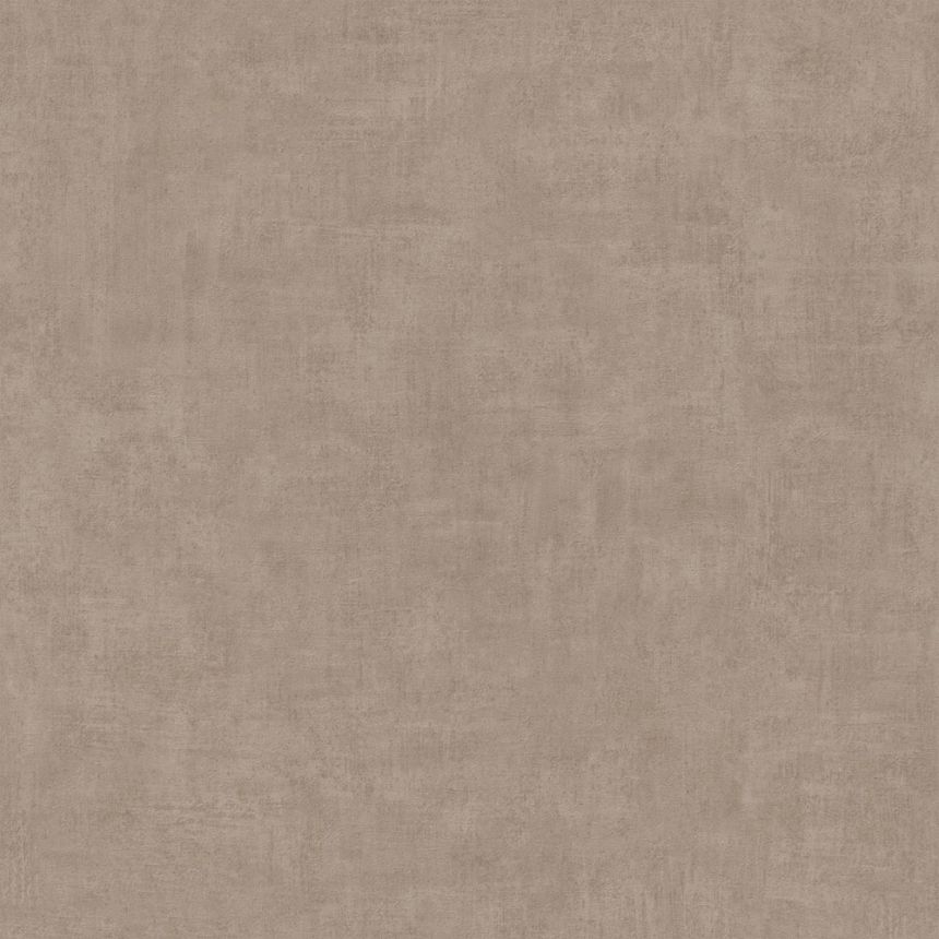 Barna tapéta, beton, vakolat, A51516, One roll, one motif 2, Mural Young Edition, Grandeco