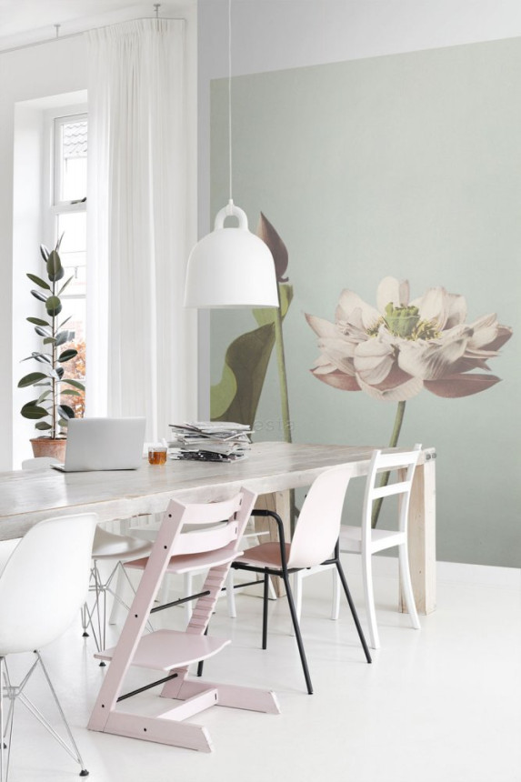 Vlies poszter tapeta, vízililiom virág 158890, 186 x 279 cm, Blush, Esta Home