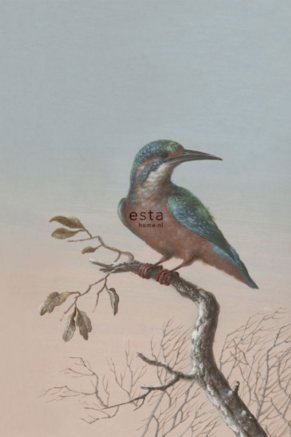 Vlies poszter tapeta, Jégmadár 158888, 186 x 279 cm, Blush, Esta Home