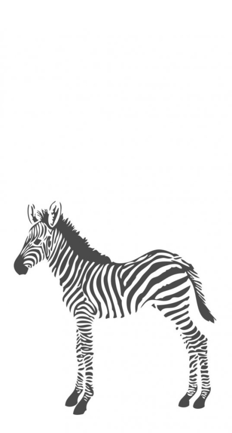 Vlies poszter tapeta - zebra 357217, 150x279cm, Precious, Origin